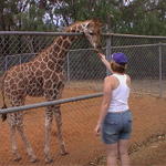 Dubbo Zoo 2004